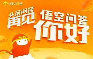 微头条领导问答,揭秘行业趋势与团队管理之道